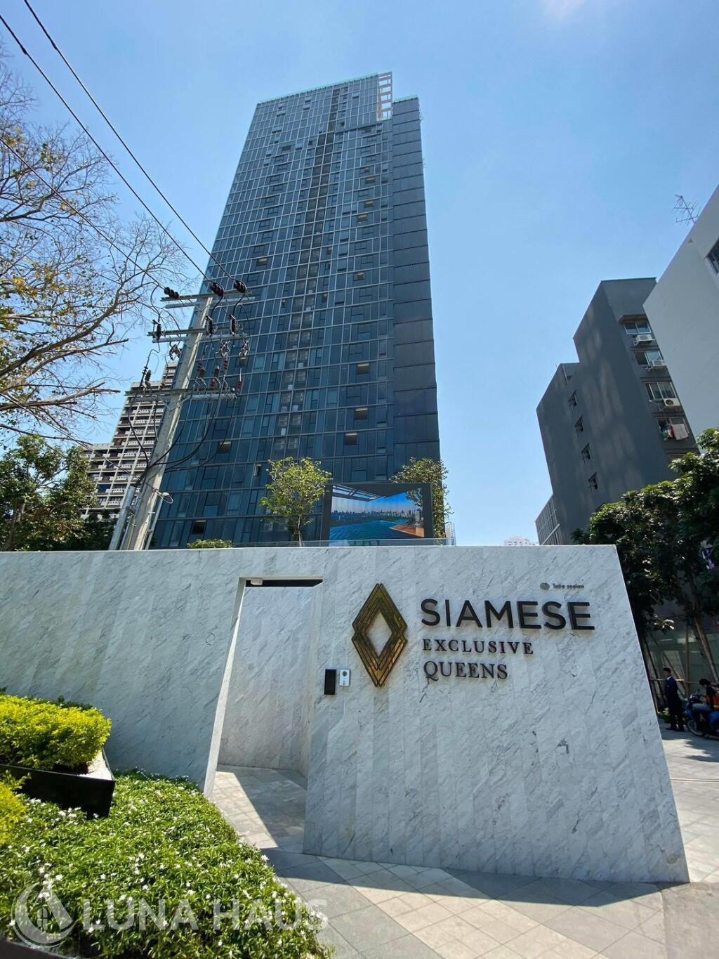 Siamese Exclusive Queens